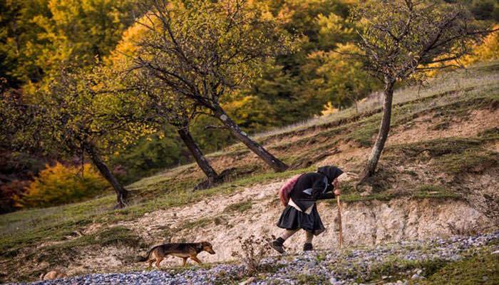 عکاسی مستند هنری